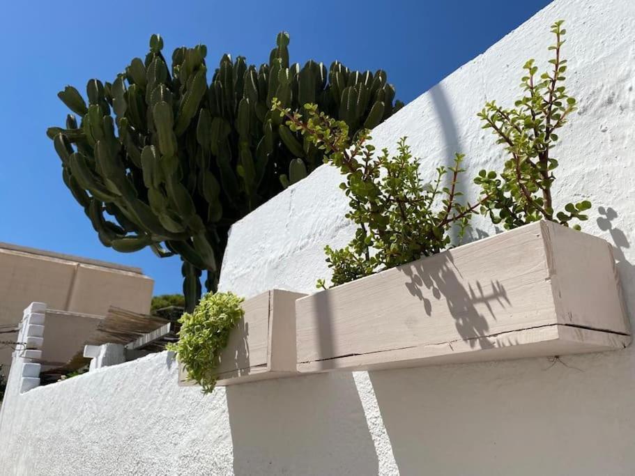 La Casita De La Abuela Maria *